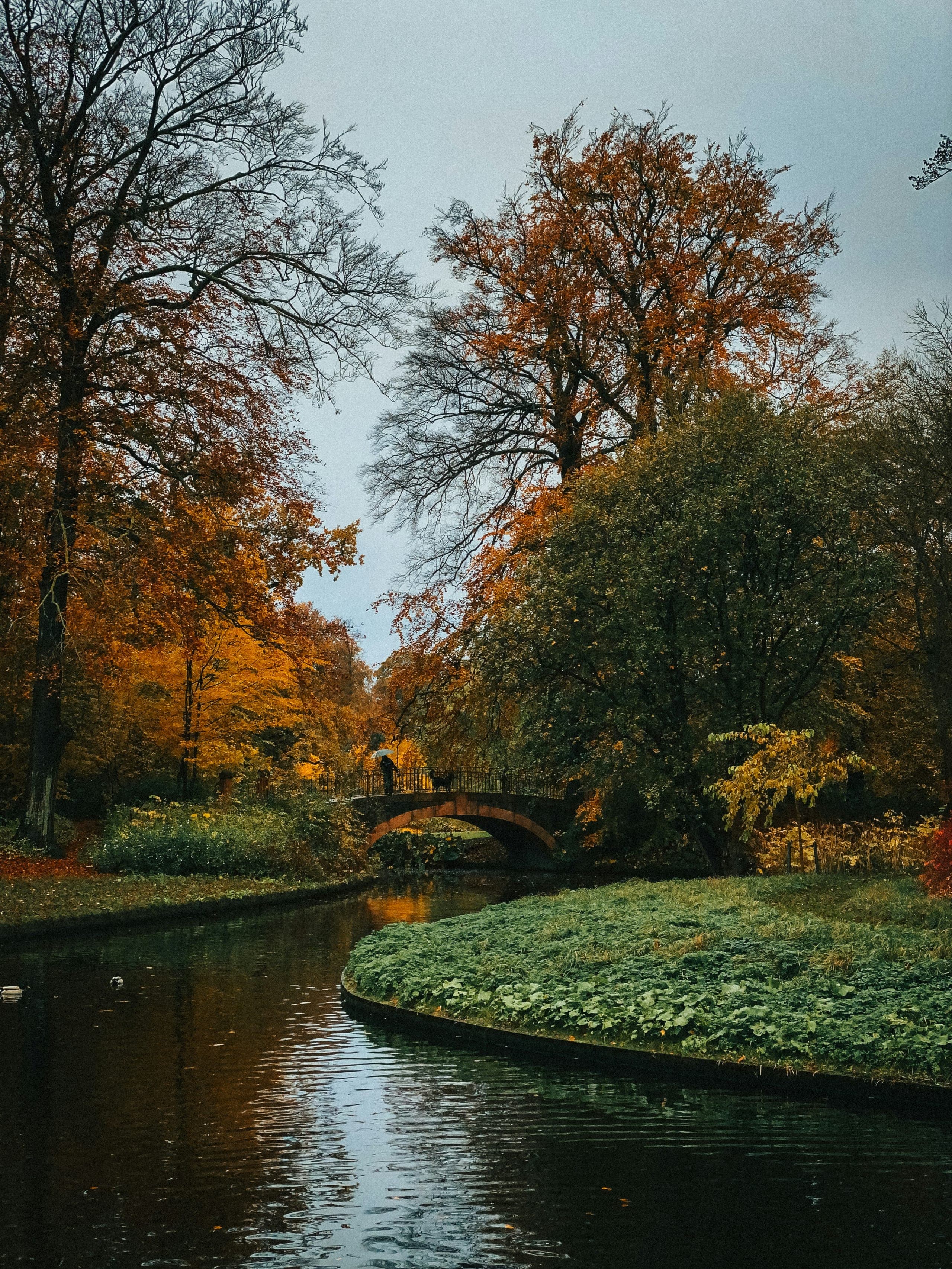 Frederiksberg park path and trees