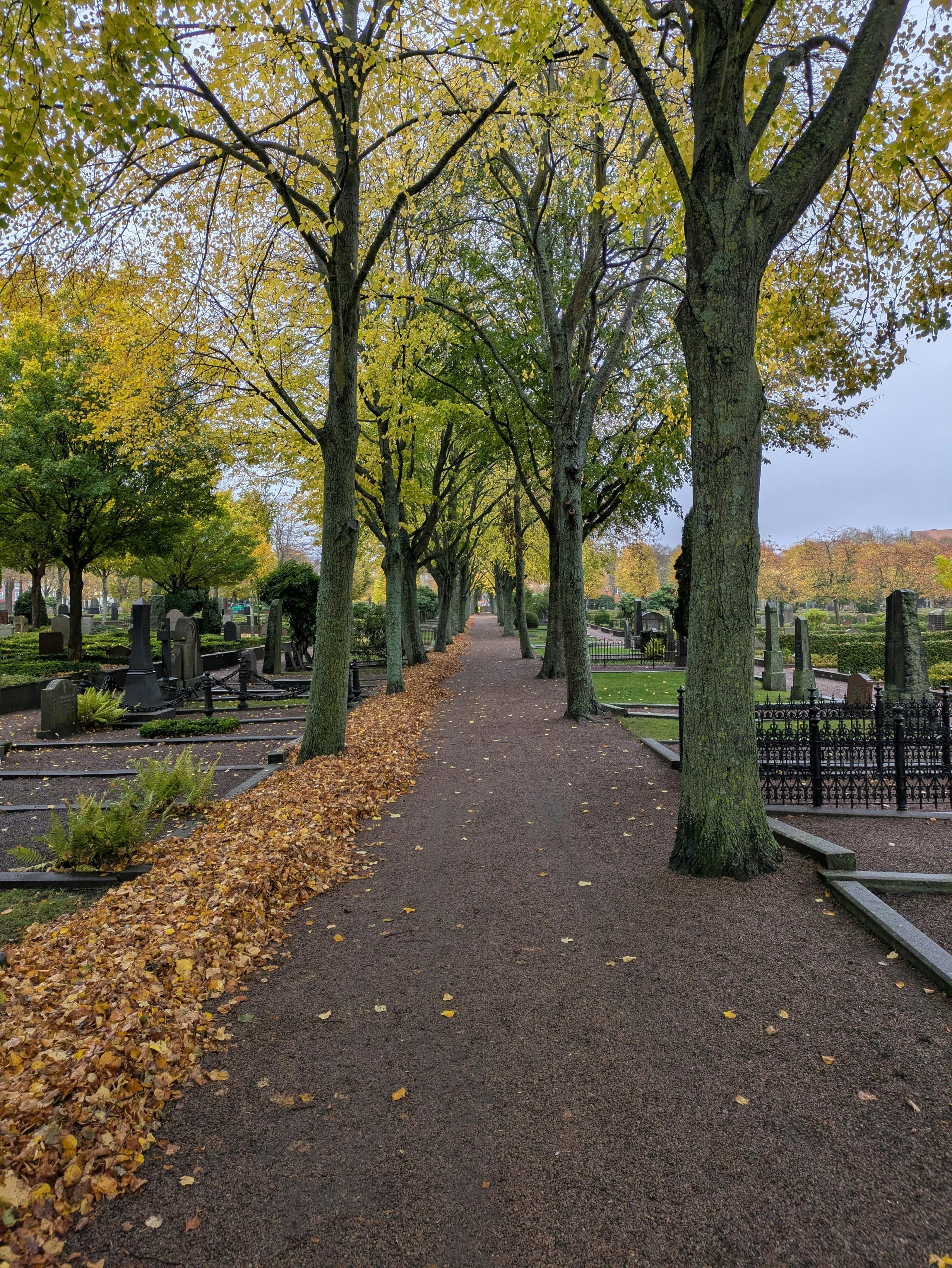 Assistens Cemetery
