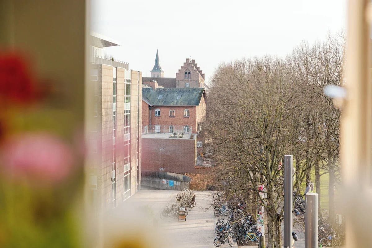 Bicycles, trees, and rooftops seen through a window in Odense